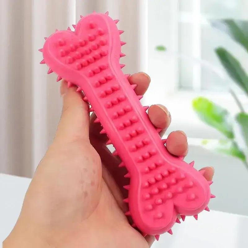 Bone Brush Toy