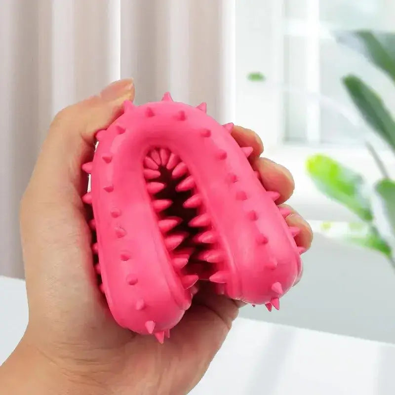 Bone Brush Toy