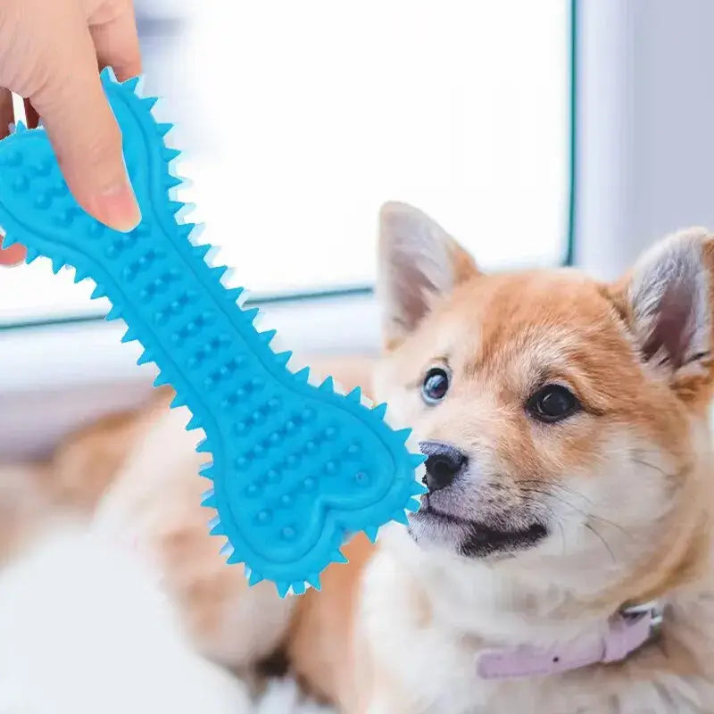 Bone Brush Toy