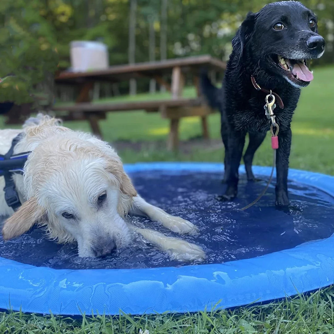 Dog Sprinkler