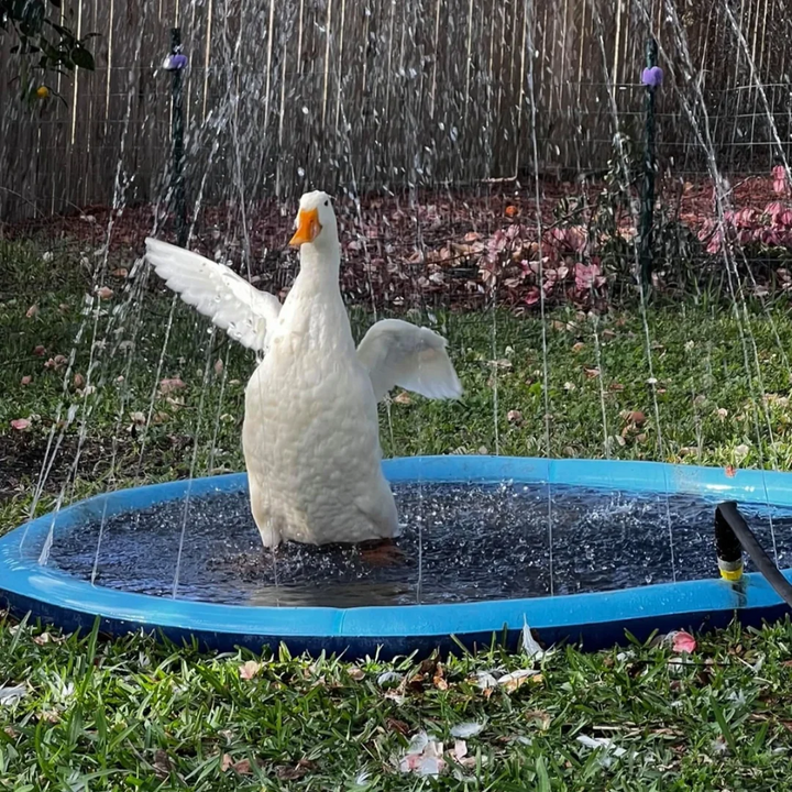 Dog Sprinkler